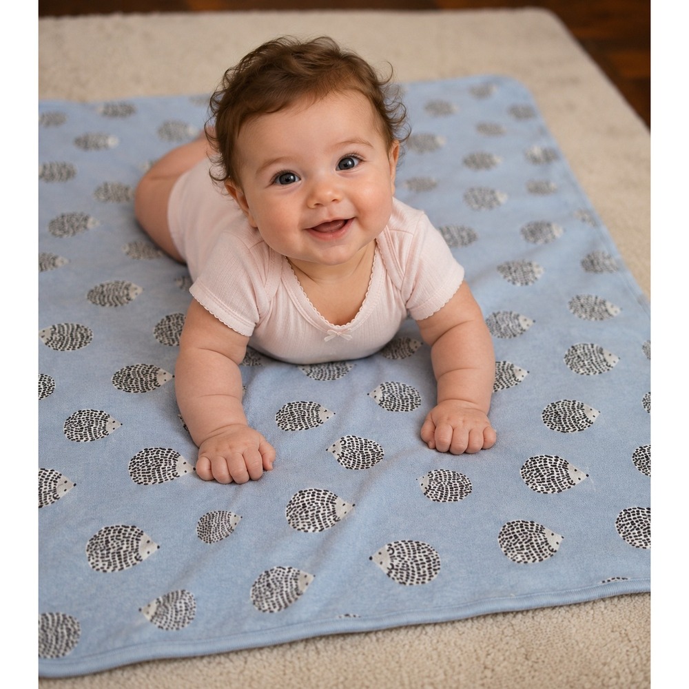 Tea Collection Blue Hedgehog Reversible Cotton Baby Blanket Striped 29x29